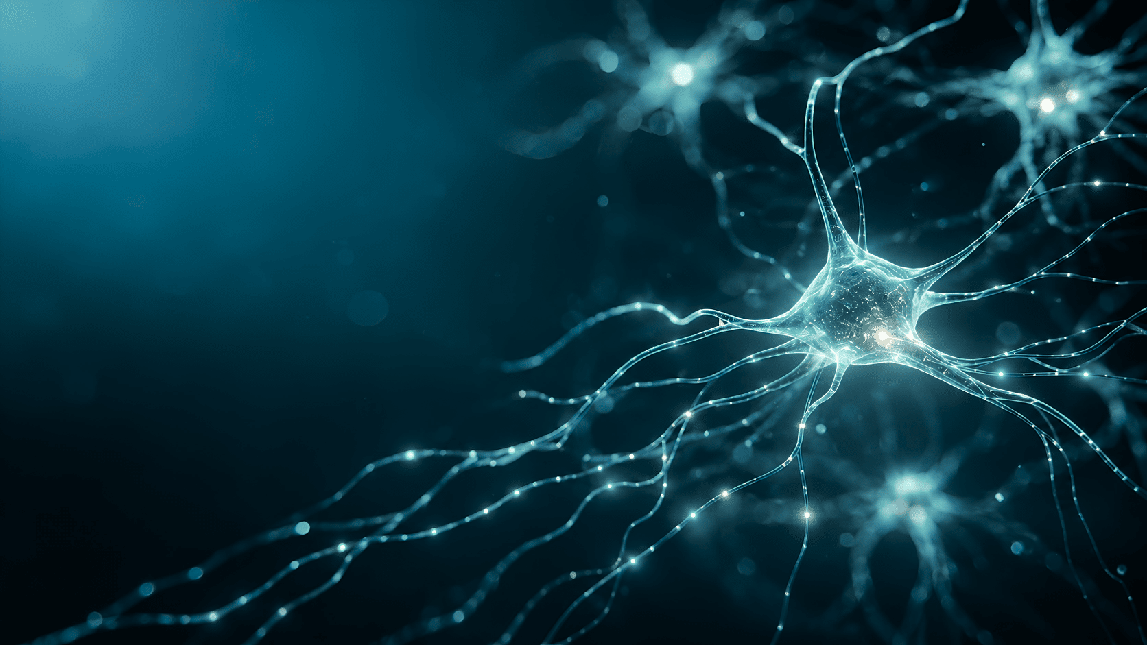 Illustration of glowing blue neurons with branching dendrites and axons, set against a dark blue background, representing neural connections in the brain.